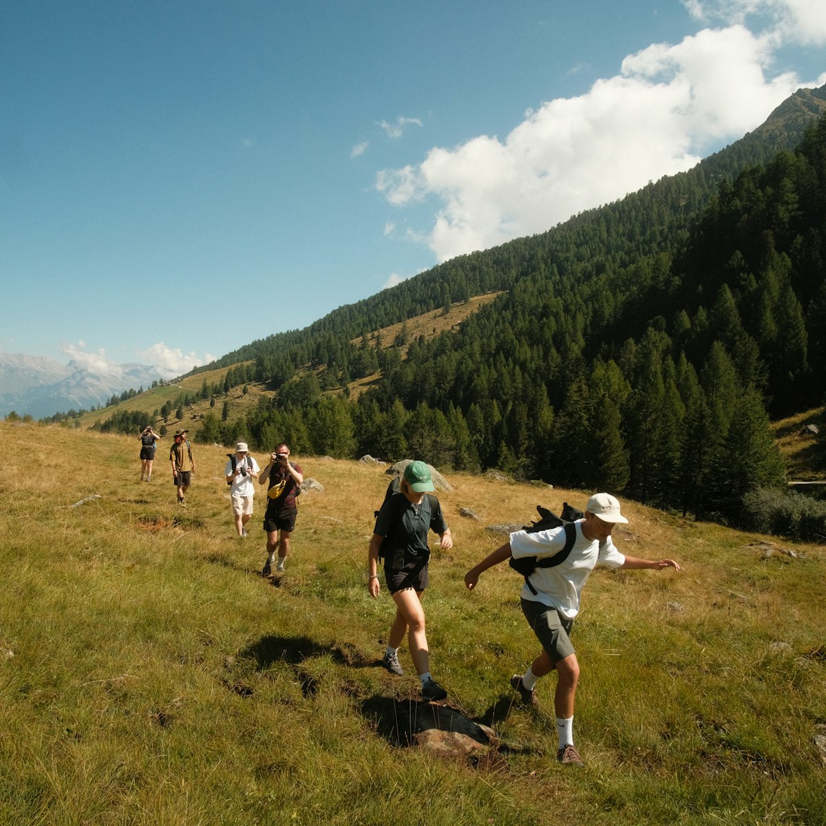 A group of friends hiking together across a grassy European hillside
